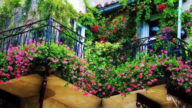 pretty-and-sweet-balcony-garden-ideapretty-and-sweet-balcony-in-balcony-garden-ideas-smart-design-of-balcony-garden-for-apartments-62a24140