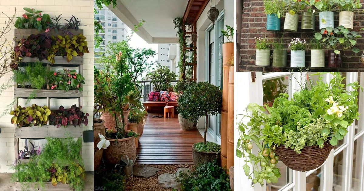 کاشت سبزی در خانه | آموزش طریقه کاشت سبزی در گلدان در آپارتمان